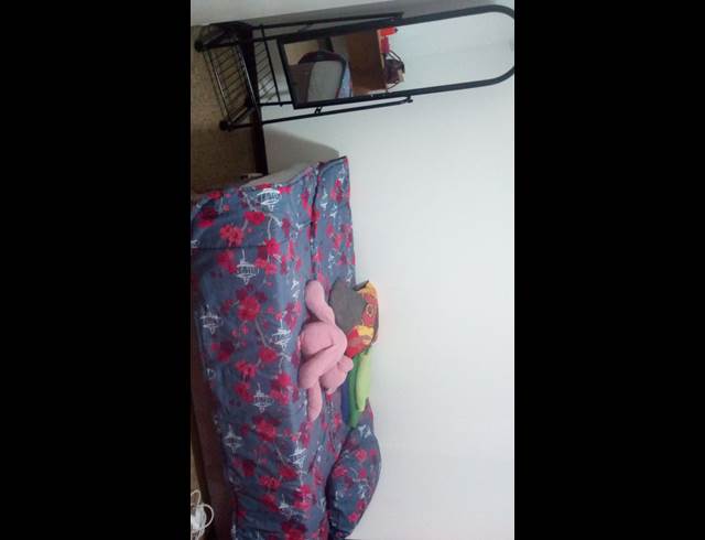 3 bed property to rent in FERNDALE