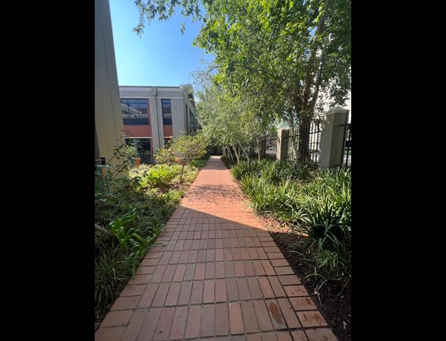 419M² OFFICE TO LET IN ROSEBANK