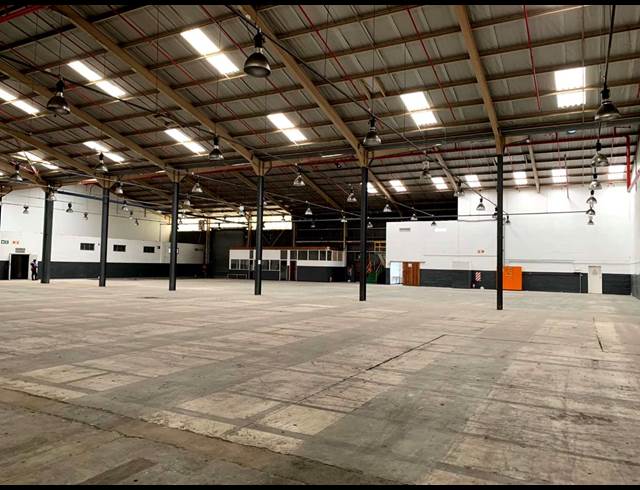 2,304M² WAREHOUSE TO LET IN ELSIES RIVER INDUSTRIAL