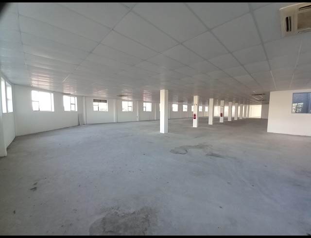 828M² FULL FLOOR TO LET IN OAKDALE