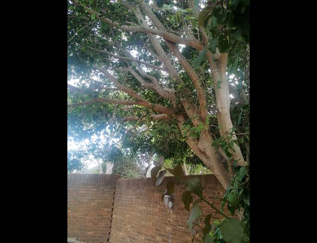 2 bed property to rent in DIEP RIVER