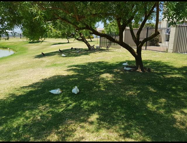 3 bed property to rent in KLEINBRON PARK