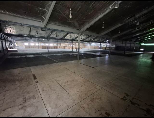 5,000M² WAREHOUSE TO LET IN WOODBROOK