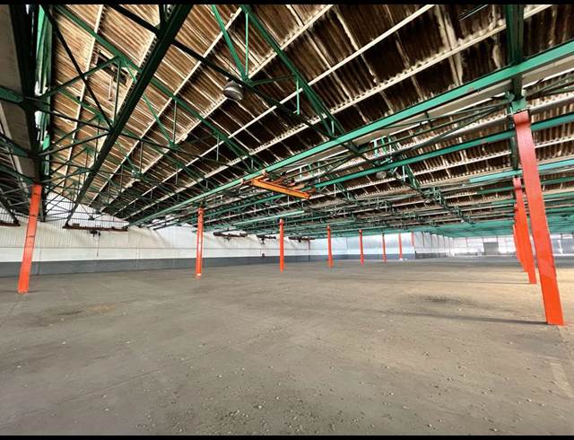 7,050M² WAREHOUSE TO LET IN ELSIES RIVER INDUSTRIAL