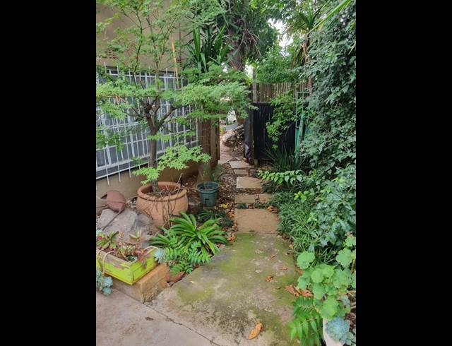 1 bed property to rent in PRIMROSE