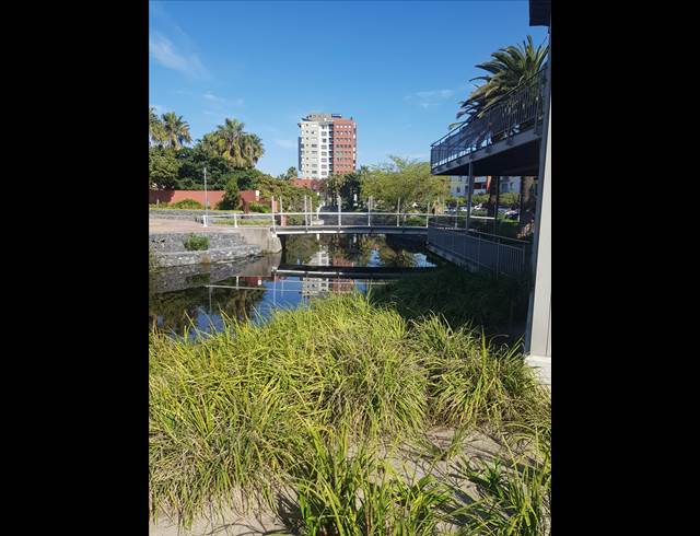 221M² OFFICE TO LET IN CENTURY CITY