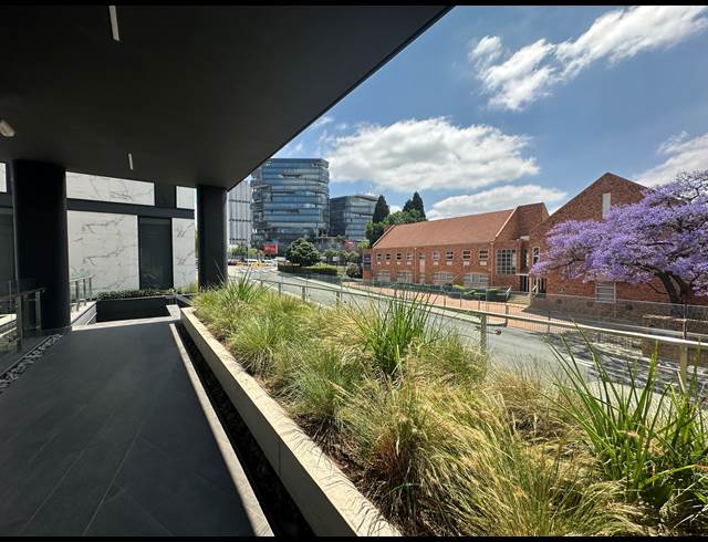 1,600M² OFFICE TO LET IN SANDTON CENTRAL