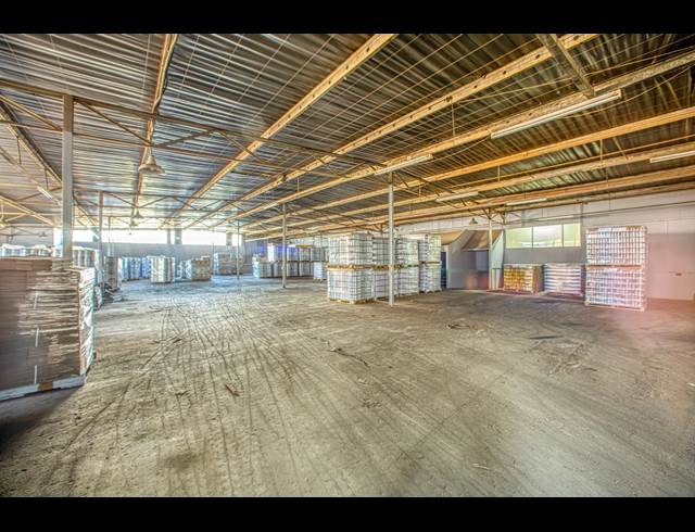 1,500M² WAREHOUSE TO LET IN WYNBERG
