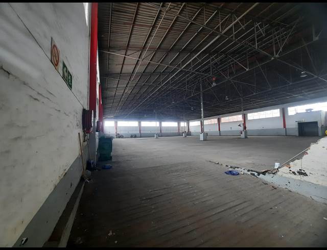 4,000M² WAREHOUSE TO LET IN ROSSBURGH