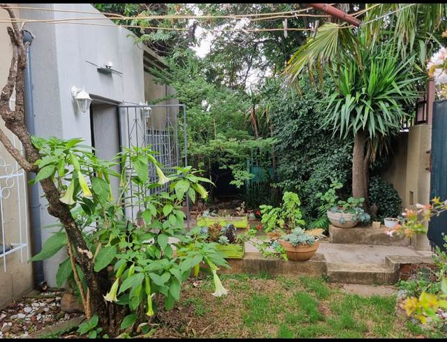 1 bed property to rent in PRIMROSE