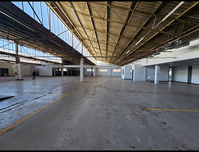 1,800M² WAREHOUSE TO LET IN STEELEDALE