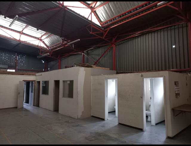 250M² WAREHOUSE TO LET IN CITY & SUBURBAN