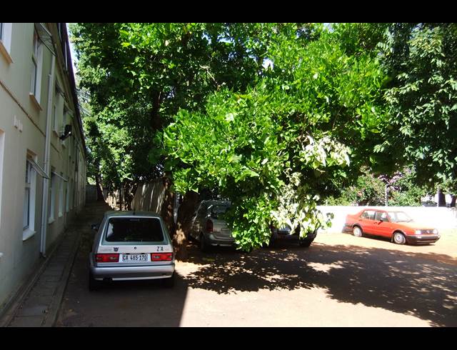 1 bed property to rent in STELLENBOSCH CENTRAL