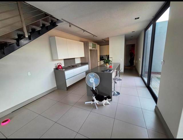 4 BEDROOM PROPERTY TO RENT IN WATERKLOOF RIDGE