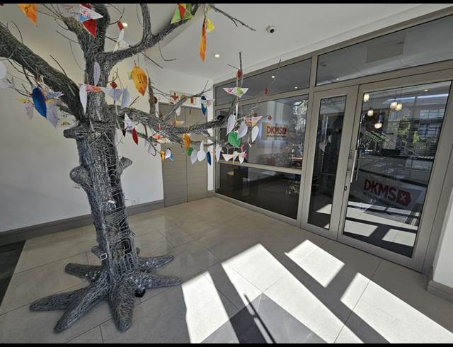 260M² OFFICE TO LET IN CENTURY CITY