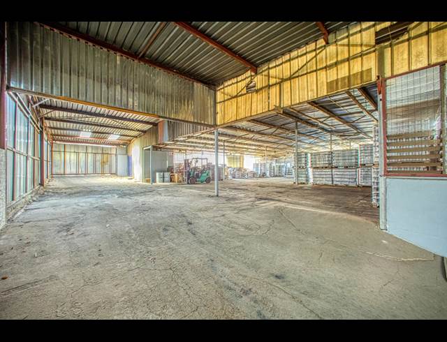 1,500M² WAREHOUSE TO LET IN WYNBERG