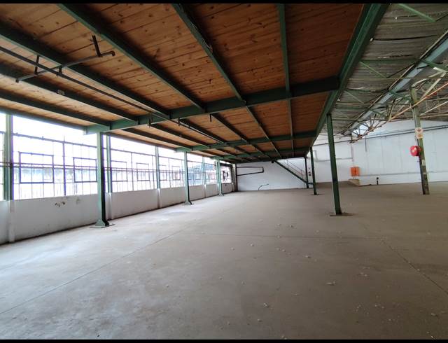 1,000M² WAREHOUSE TO LET IN TULISA PARK