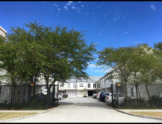 179M² OFFICE RENTED IN PINELANDS