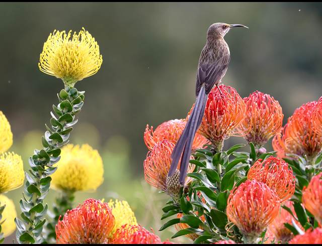 2 bed property to rent in CROSSWAYS FARM VILLAGE