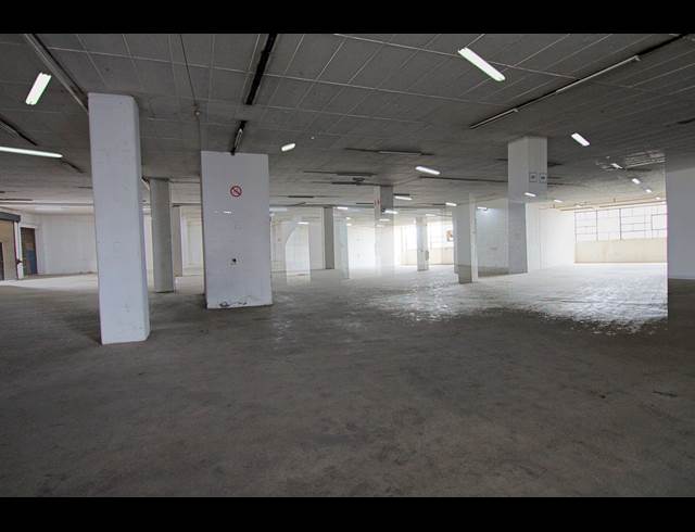 1,620M² WAREHOUSE TO LET IN WYNBERG