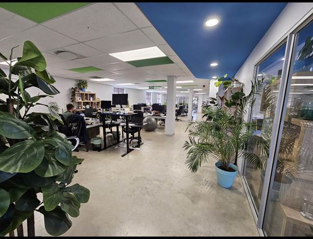 1,083M² OFFICE TO LET IN CENTURY CITY
