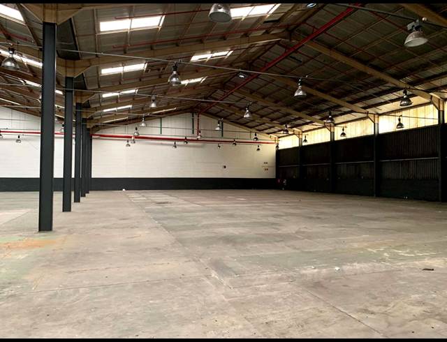 2,304M² WAREHOUSE TO LET IN ELSIES RIVER INDUSTRIAL