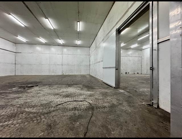 2,000M² WAREHOUSE TO LET IN PHOENIX INDUSTRIAL