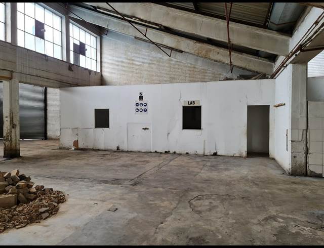 600M² WAREHOUSE RENTED IN WADEVILLE