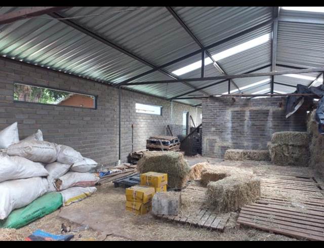 215,000M² FARM TO LET IN LUSTHOF