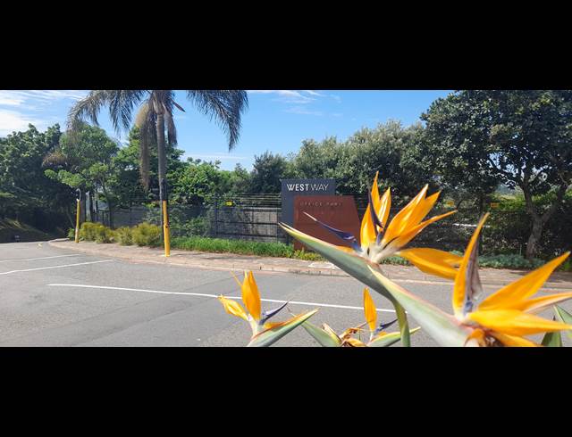 392.57M² OFFICE TO LET IN WESTVILLE