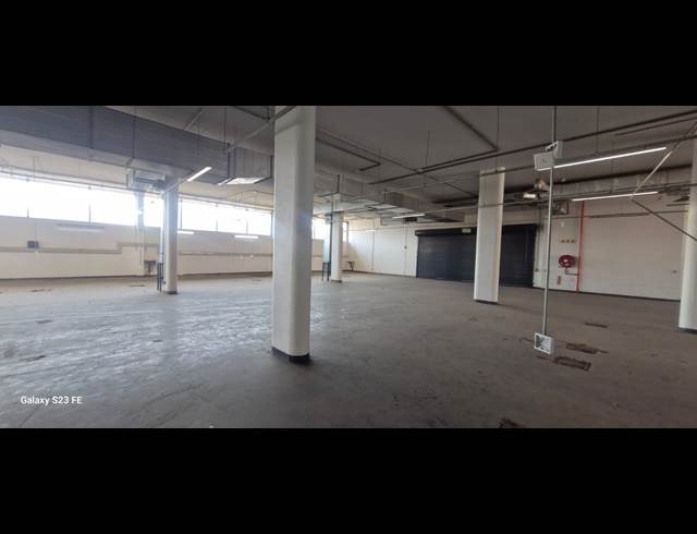 15,000M² WAREHOUSE TO LET IN NEWTOWN