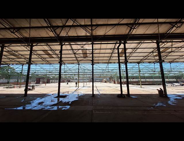 13,000M² WAREHOUSE TO LET IN TECHNIKON