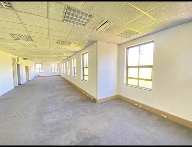 269M² OFFICE TO LET IN RONDEBOSCH