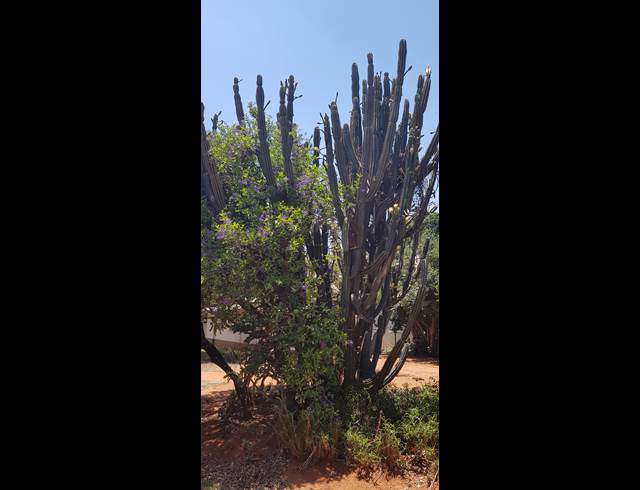 3 bed property to rent in WILLOW PARK MANOR