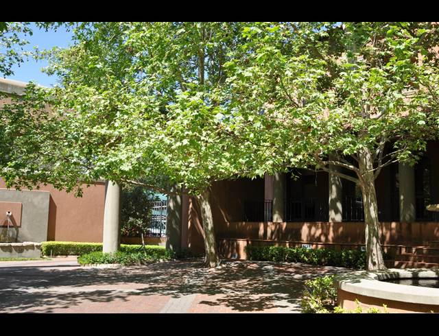 OFFICE PROPERTY TO RENT IN BROOKLYN