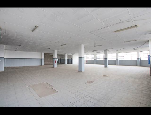 1,620M² WAREHOUSE TO LET IN WYNBERG
