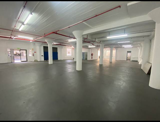 450M² BUSINESS TO LET IN PAARDEN EILAND