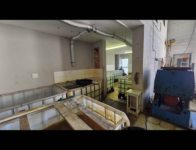 254M² WAREHOUSE TO LET IN CAPRICORN