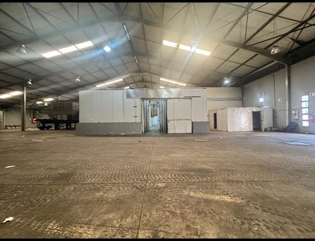 2,000M² WAREHOUSE TO LET IN PHOENIX INDUSTRIAL