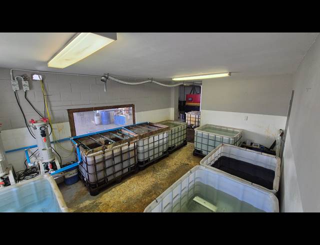 254M² WAREHOUSE TO LET IN CAPRICORN