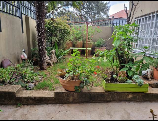 1 bed property to rent in PRIMROSE