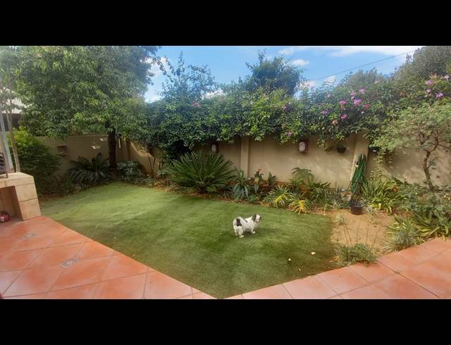 Pet friendly 4 bedroom property for rent