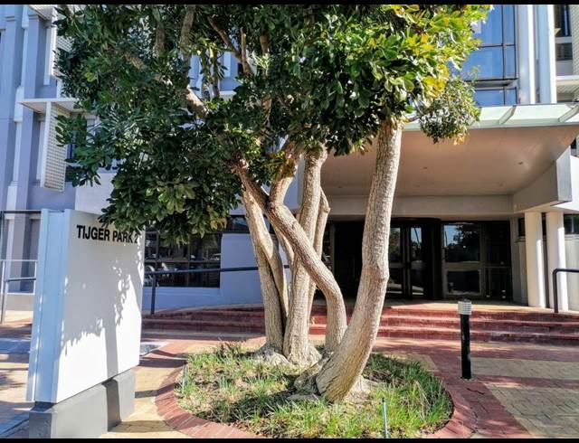 170.50M² BUILDING TO LET IN TYGER VALLEY