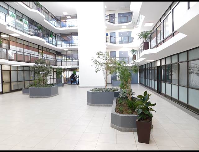 291M² OFFICE TO LET IN FERNDALE
