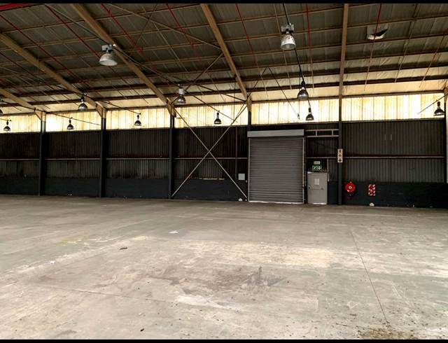 2,304M² WAREHOUSE TO LET IN ELSIES RIVER INDUSTRIAL