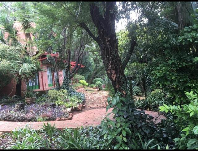 3 BEDROOM PROPERTY TO RENT IN LYDIANA