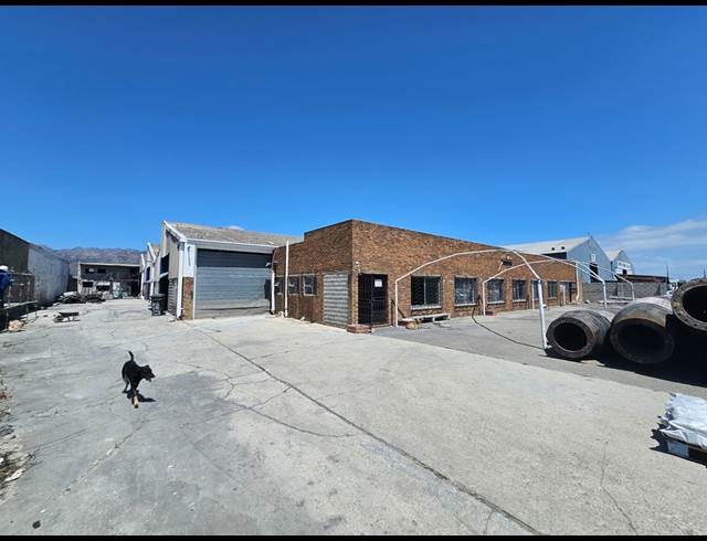 2,141M² WAREHOUSE TO LET IN STRAND CENTRAL