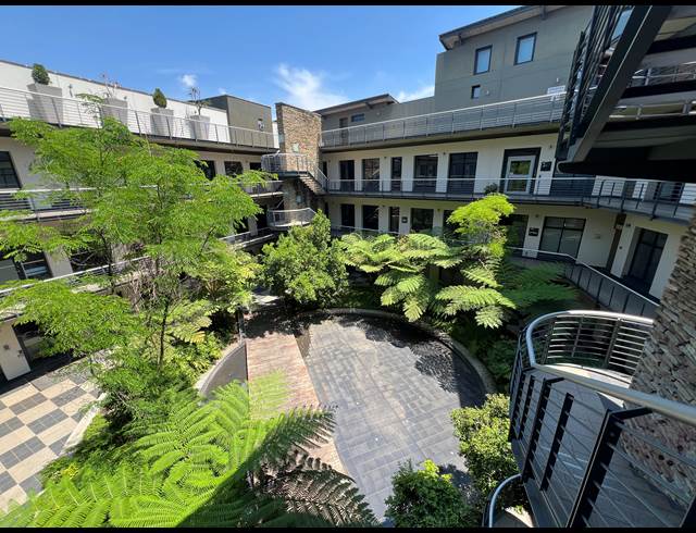 177M² OFFICE TO LET IN MELROSE ARCH