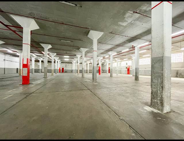 3,140M² WAREHOUSE TO LET IN NEW GERMANY