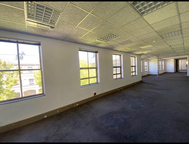251M² OFFICE TO LET IN RONDEBOSCH